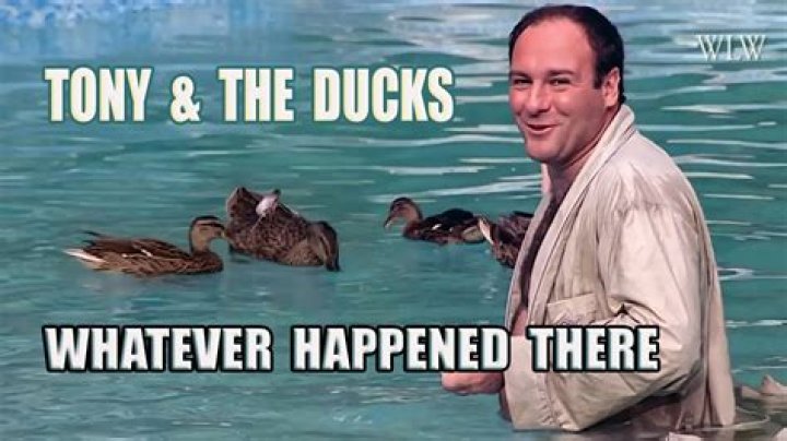 Tony Soprano Ducks - How To Discuss