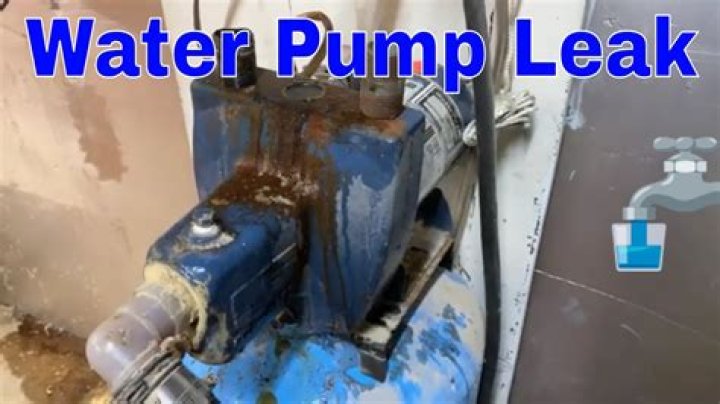 What a water pump leak looks like?