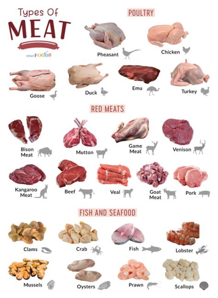 What animals are game meat