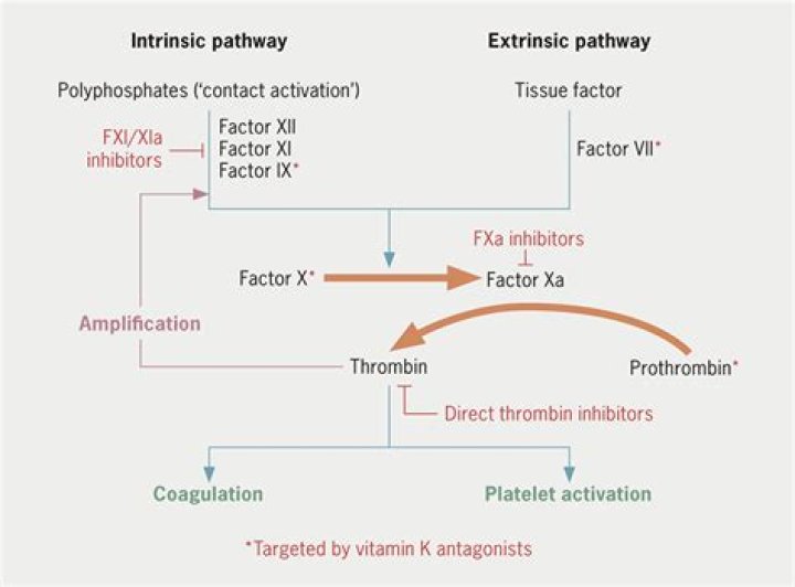 What are factor VIII inhibitors