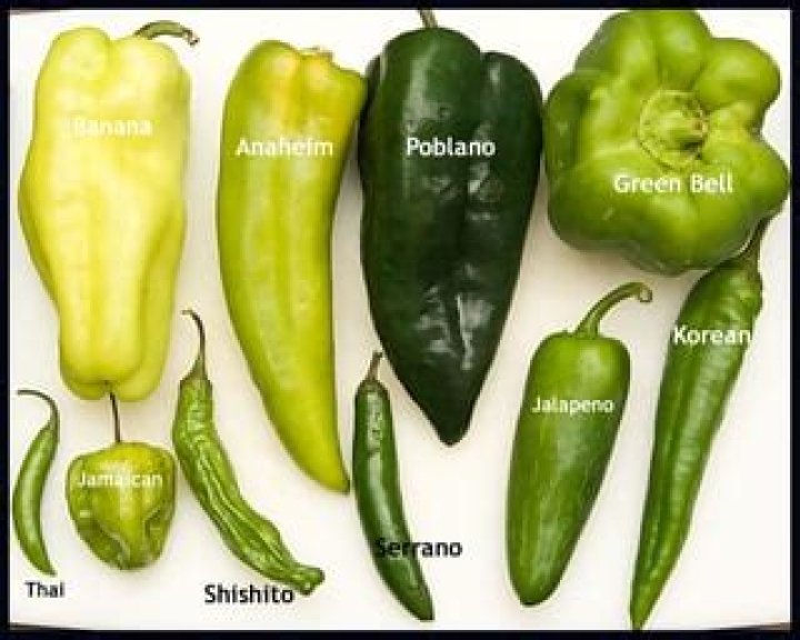 What are green peppers called
