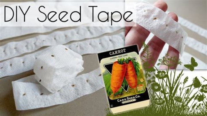 What are seed tapes