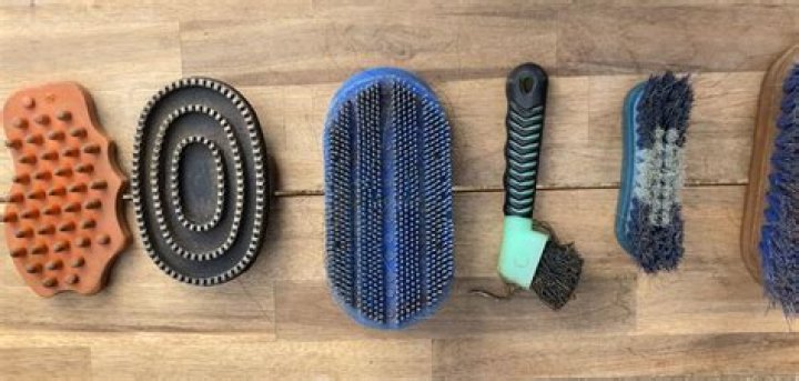 What are shoe brushes made of