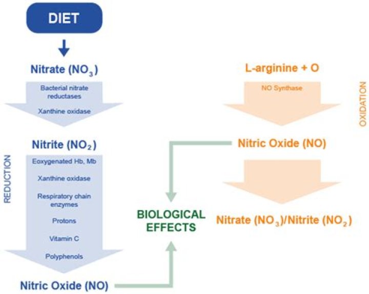 What are side effects of nitrates