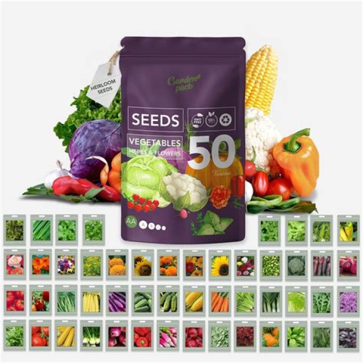 What are the best vegetable seeds to plant