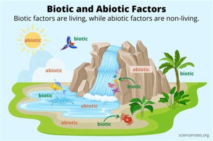 What are the biotic and abiotic factors that limit population size