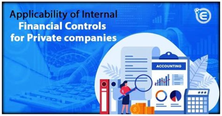What are the differences between strategic controls and financial controls