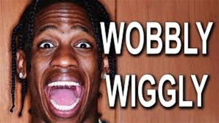 What are the little wiggly things in my pond