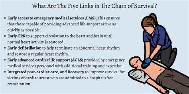 What are the six links in the chain for survival