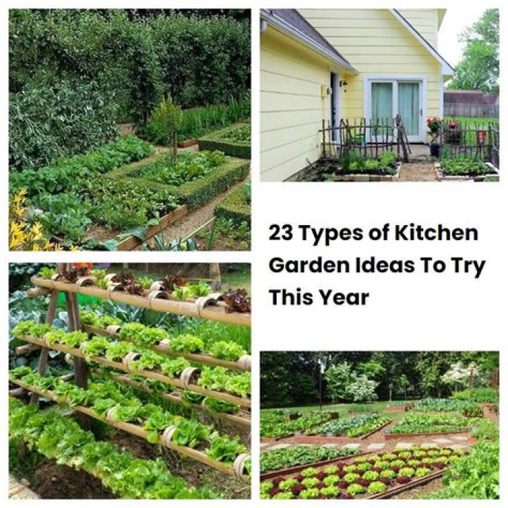 What are the types of kitchen garden