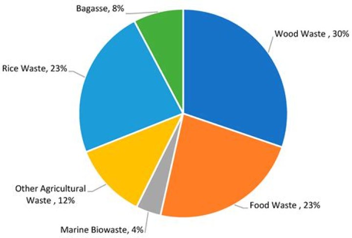 What are the uses of Jatropha