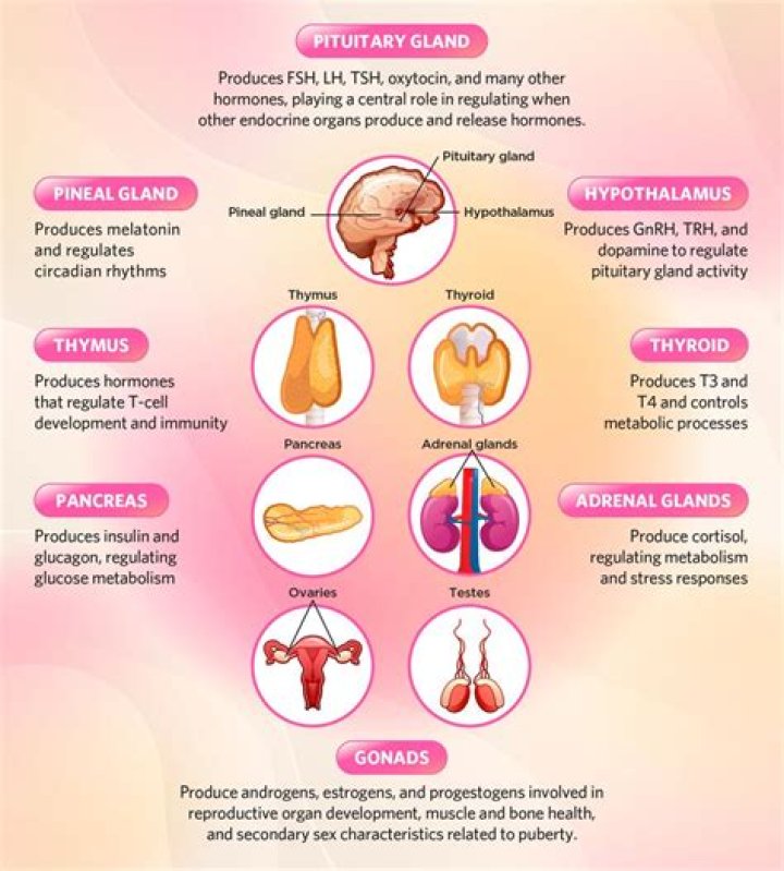 What are three reproductive related pituitary hormones