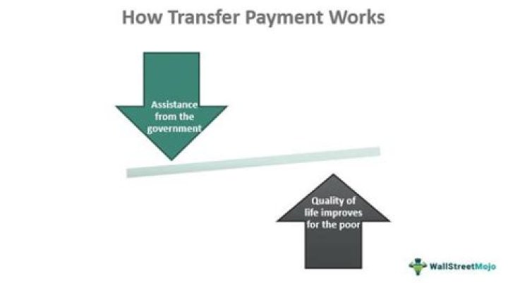 What are transfer payments used for