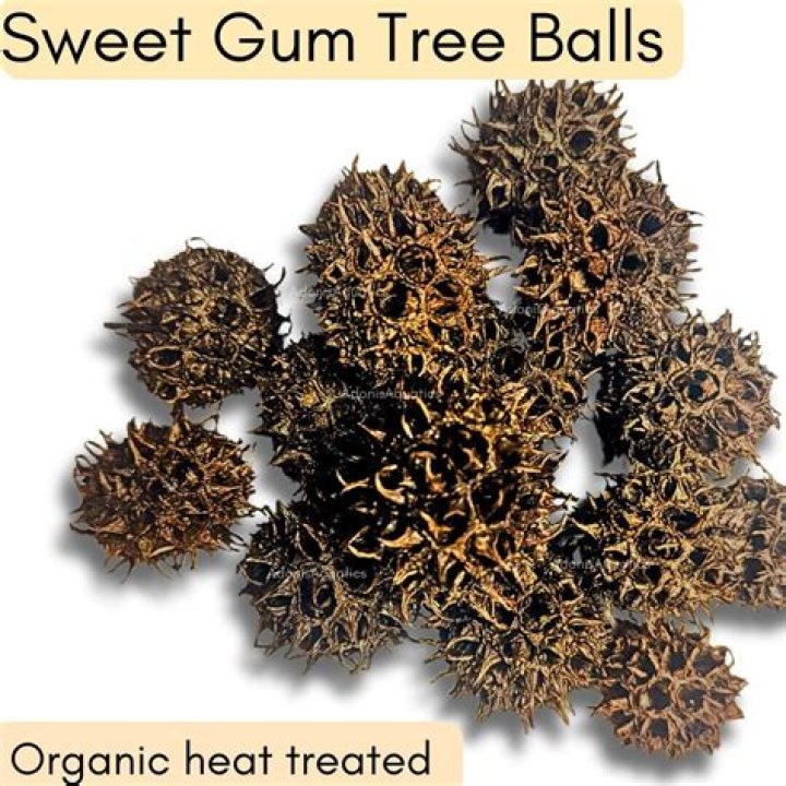 What can you do with sweet gum tree balls