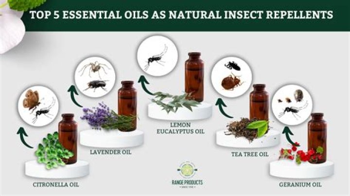 What can you use as a natural bug repellent