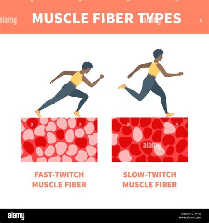 What color are slow twitch muscle fibers