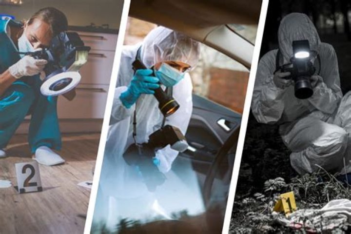 What do forensics look for in a crime scene