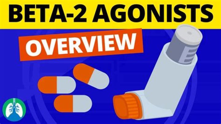 What does a beta 2 agonist do