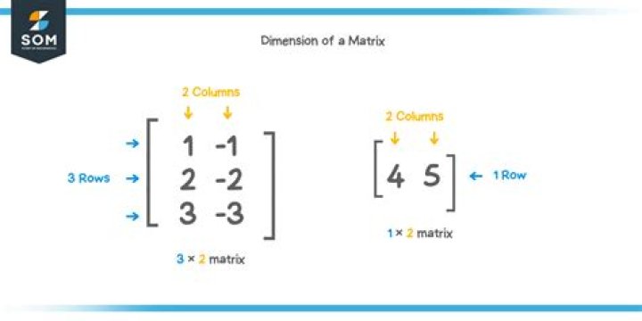 What does a matrix do to a vector