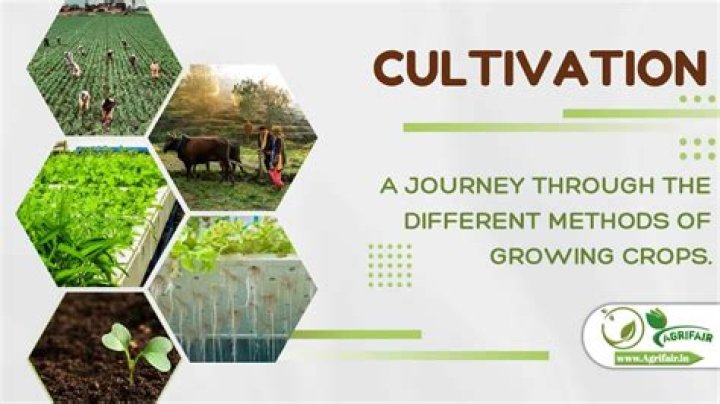 What Does Cultivate Mean - How To Discuss