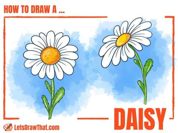 What does Daisys Gold Pencil symbolize