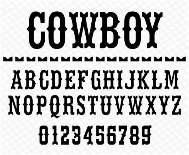 What does it mean to Cowboy a horse