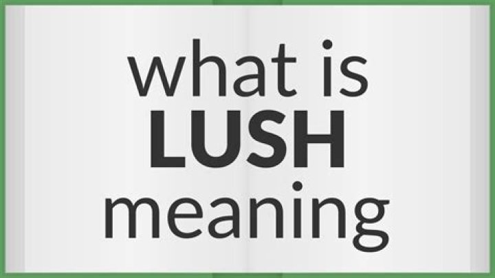 What does lush mean slang