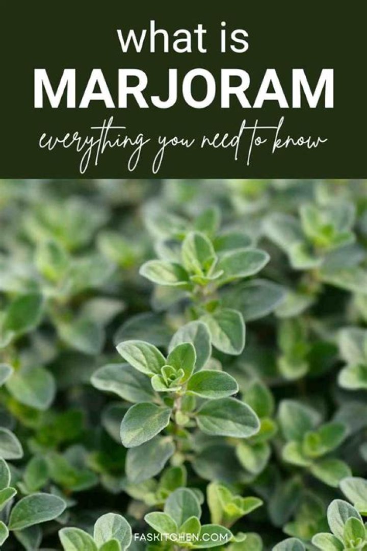 What does marjoram taste like