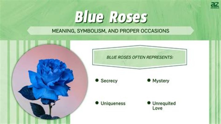 What does the blue flower mean