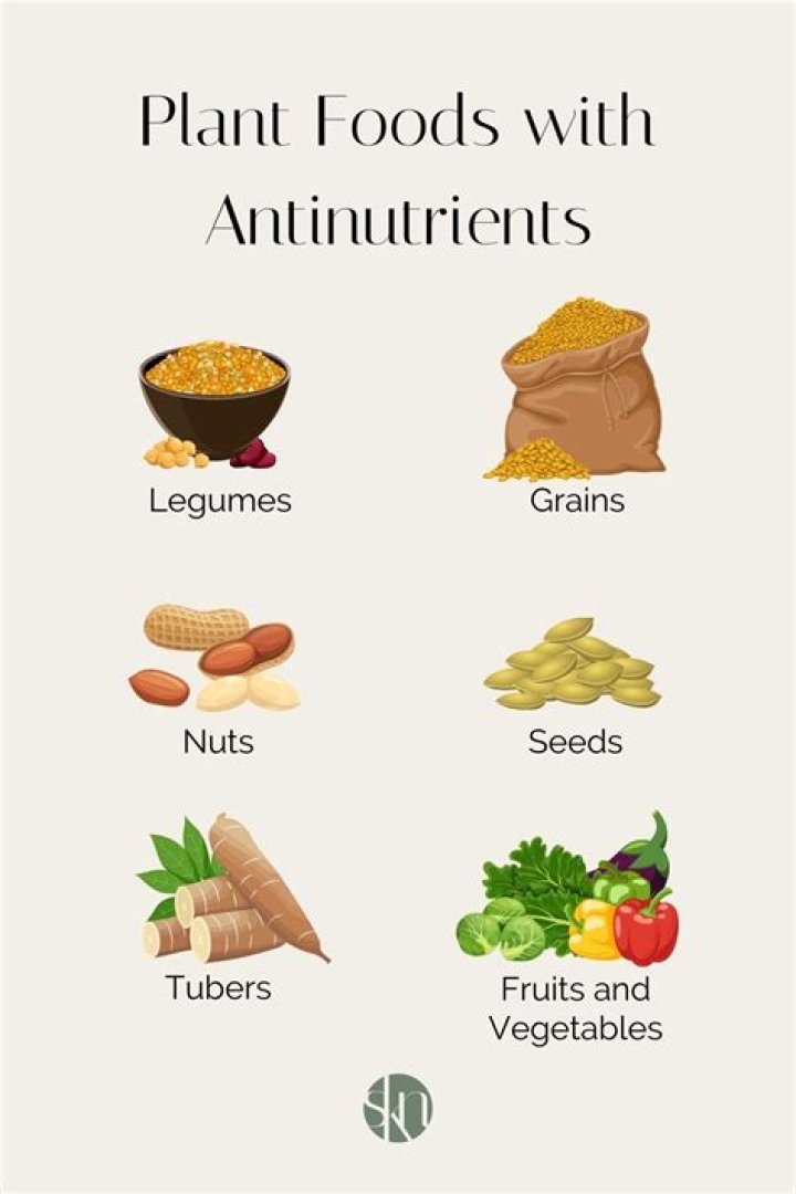 What foods contain Antinutrients