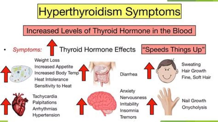 What happens when your thyroid is high