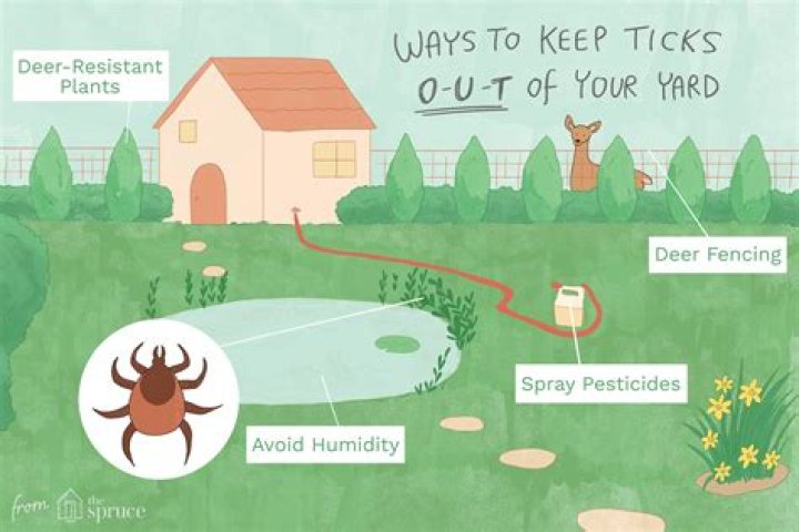 What home remedy kills ticks in your yard