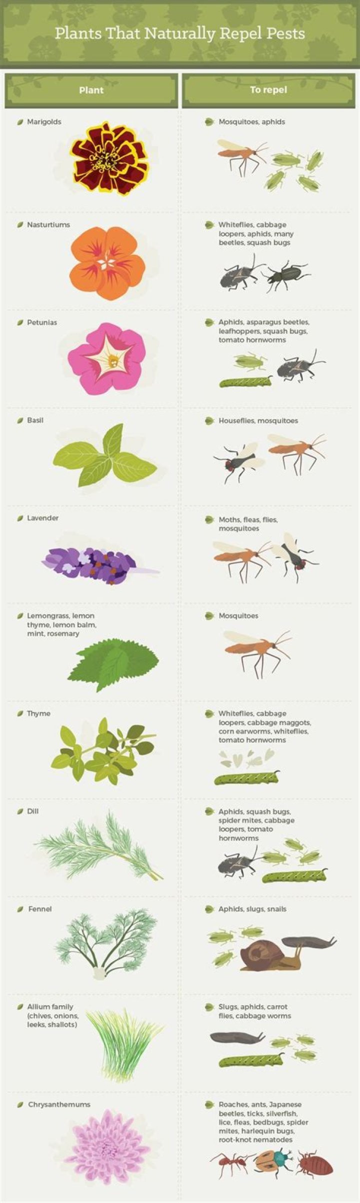 What insects kill flowers