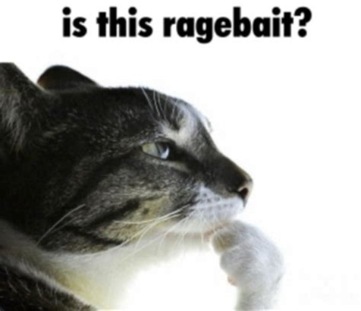 What is a bait dog or cat