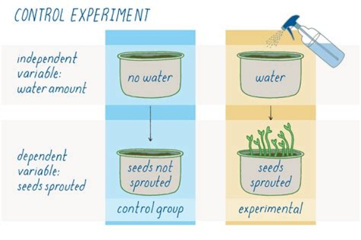 What is a controlled experiment in biology