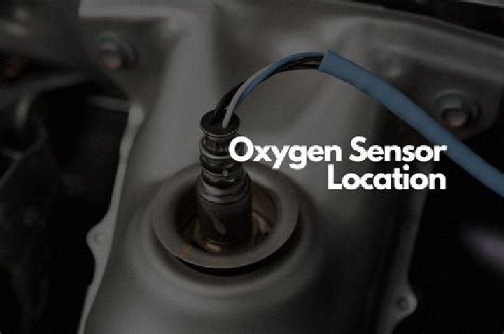 What is a dummy o2 sensor