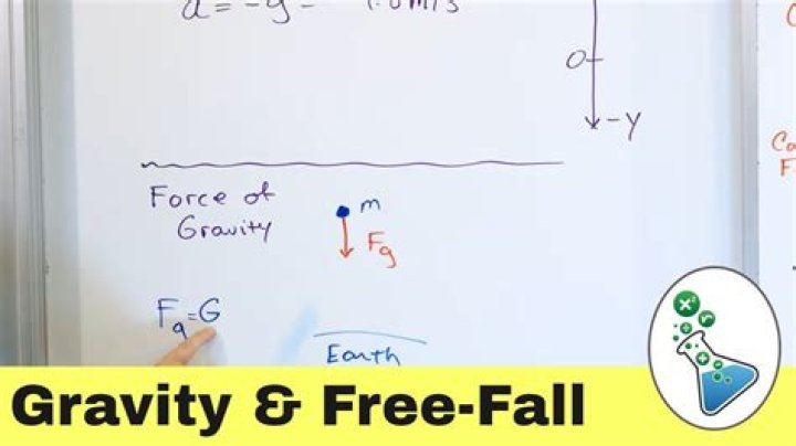 What is a free falling body in physics