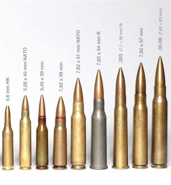 What is a good deer attractant