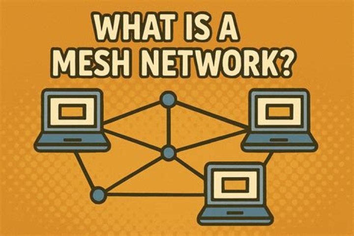 What is a mesh structure