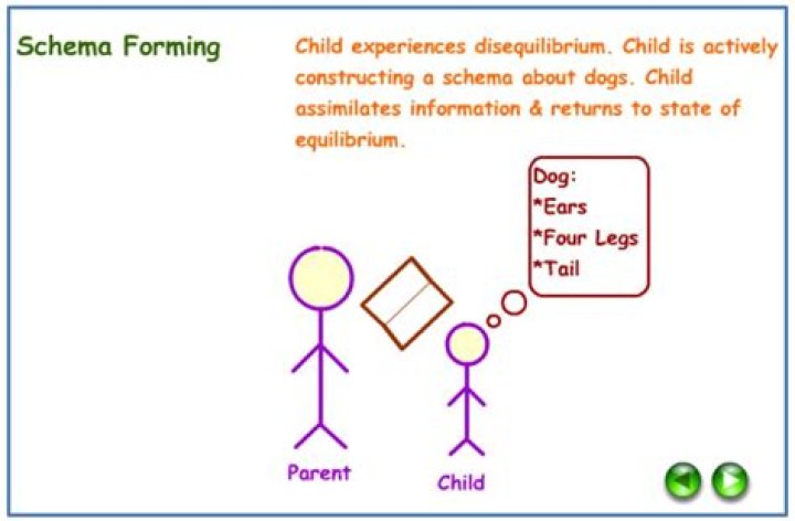 What is a schema according to Piaget