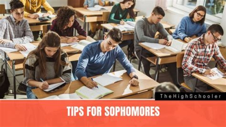 What Is A Sophomore - How To Discuss