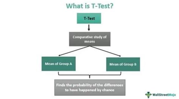 What is a t test in research
