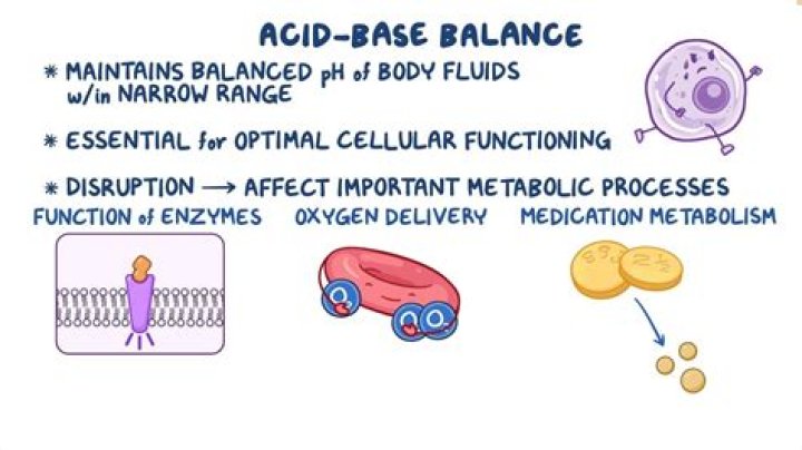 What is acid base balance in the body