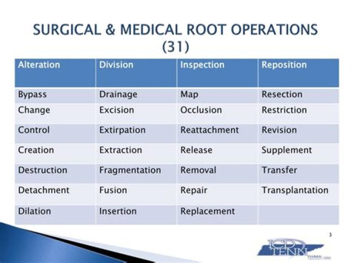 What is an example of the root operation of excision