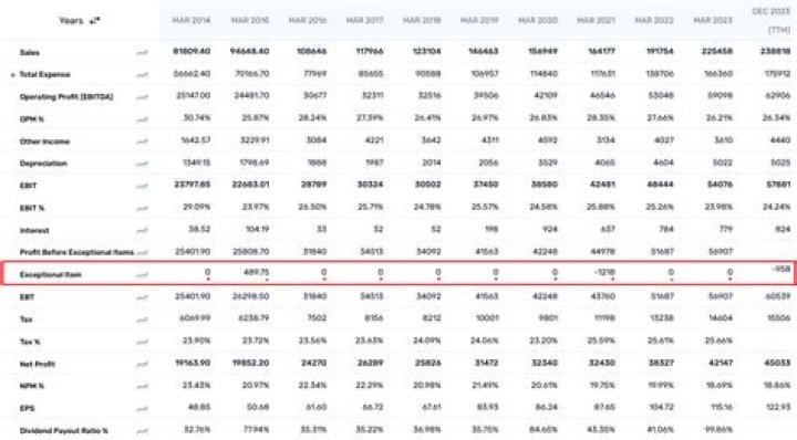 What is an exceptional item in accounting