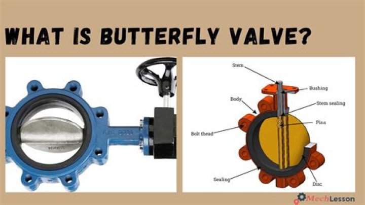 What is butterfly lavender