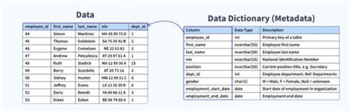 What is data dictionary in project documentation
