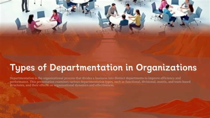 What is Departmentation PDF