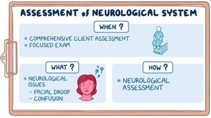 What is done during a neurological exam