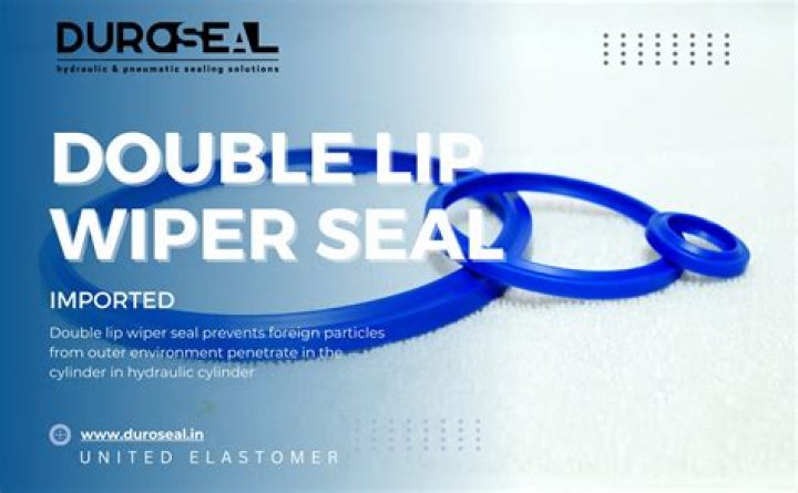 What is double lip seal